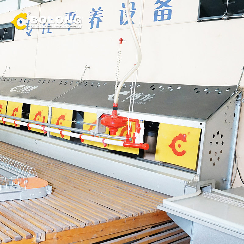 consistent quality Automatic Egg Collector